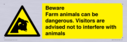 beware-farm-animals-can-be-dangerous-visitors-are-advised-not-to-interfere-with-~